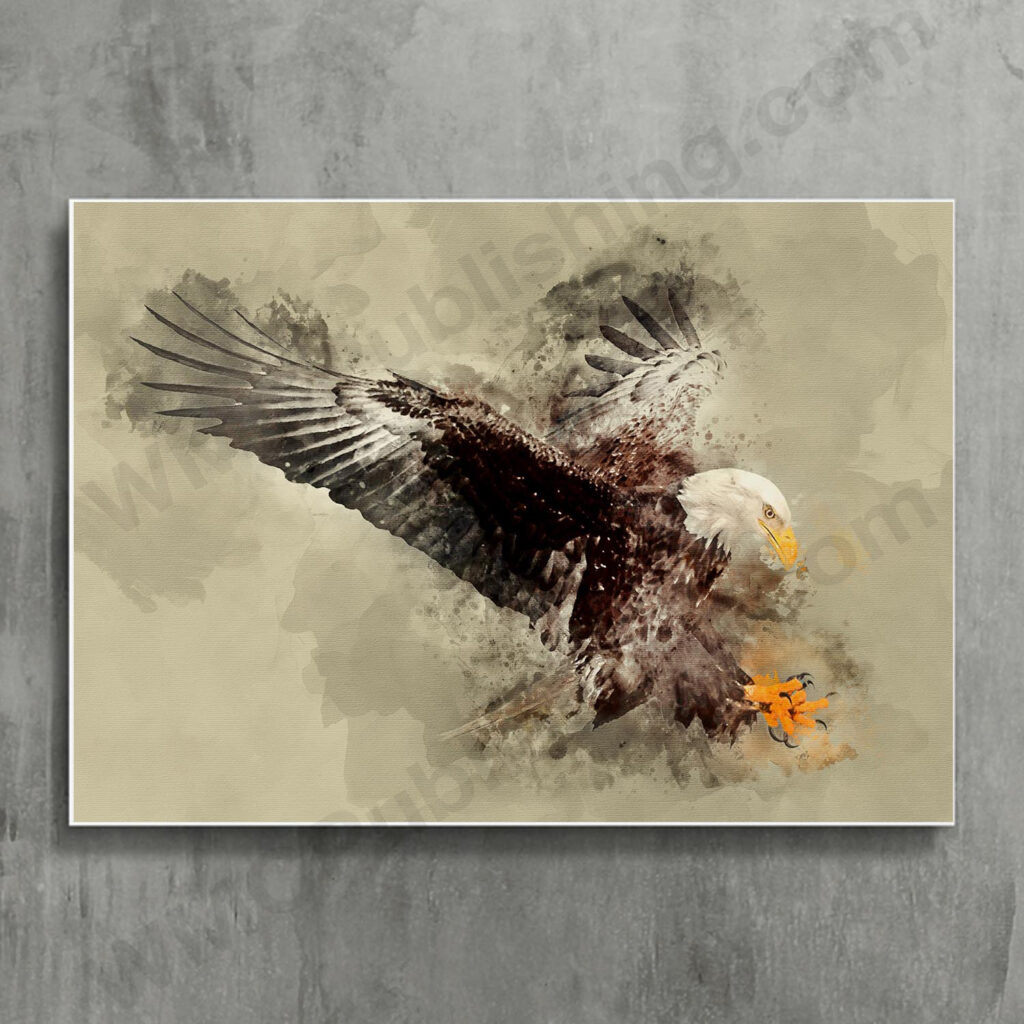 Bald Eagle Wall Art Print