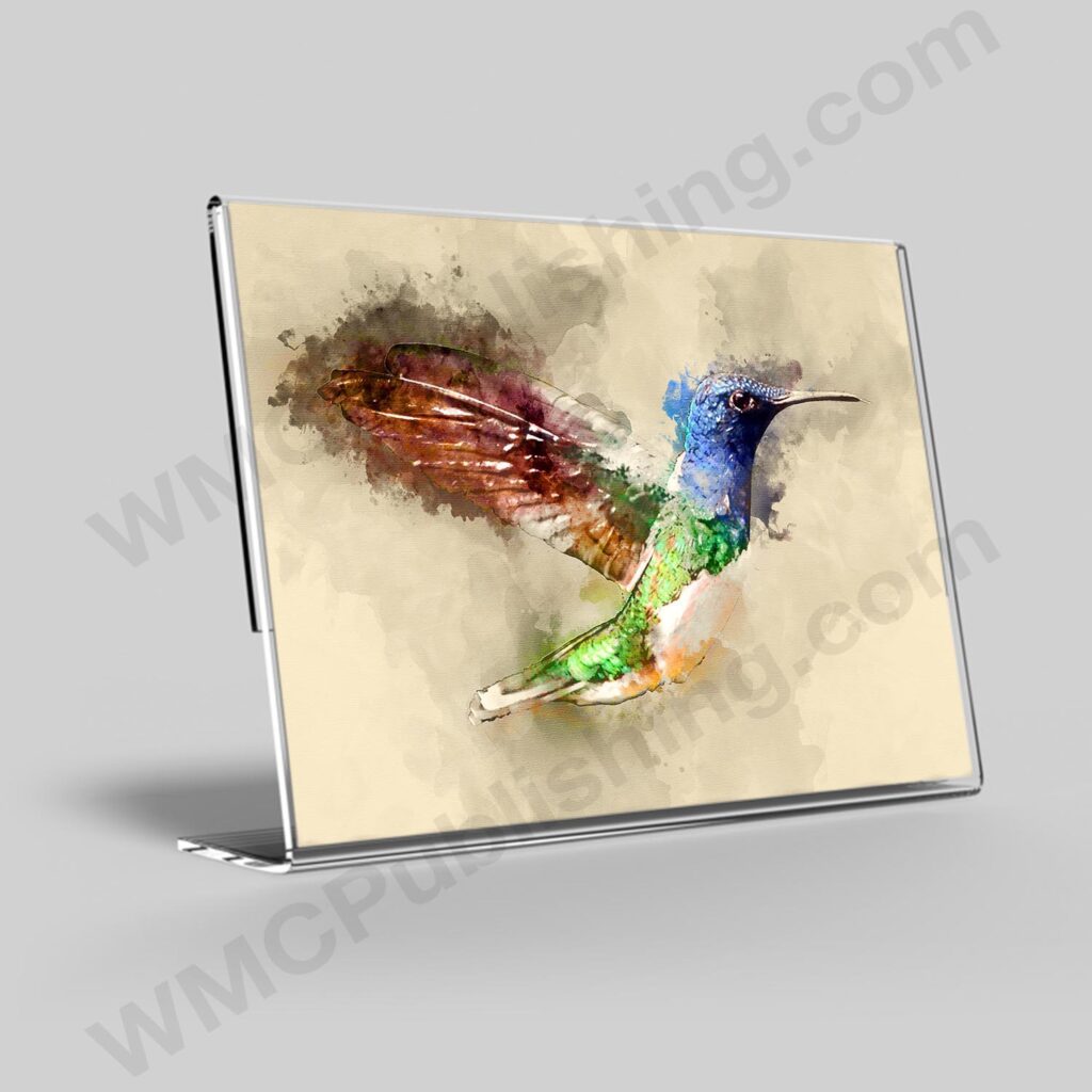 Blue-Headed Hummingbird Wall Art Print