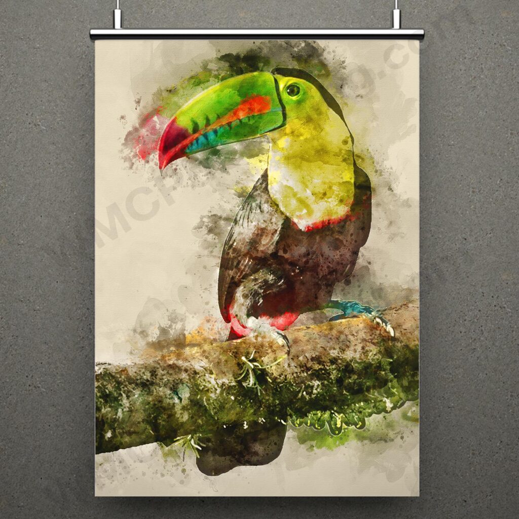 Keel-Billed Toucan Wall Art Print