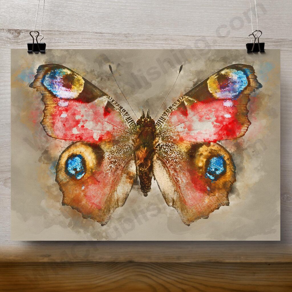 Peacock Butterfly Wall Art Print