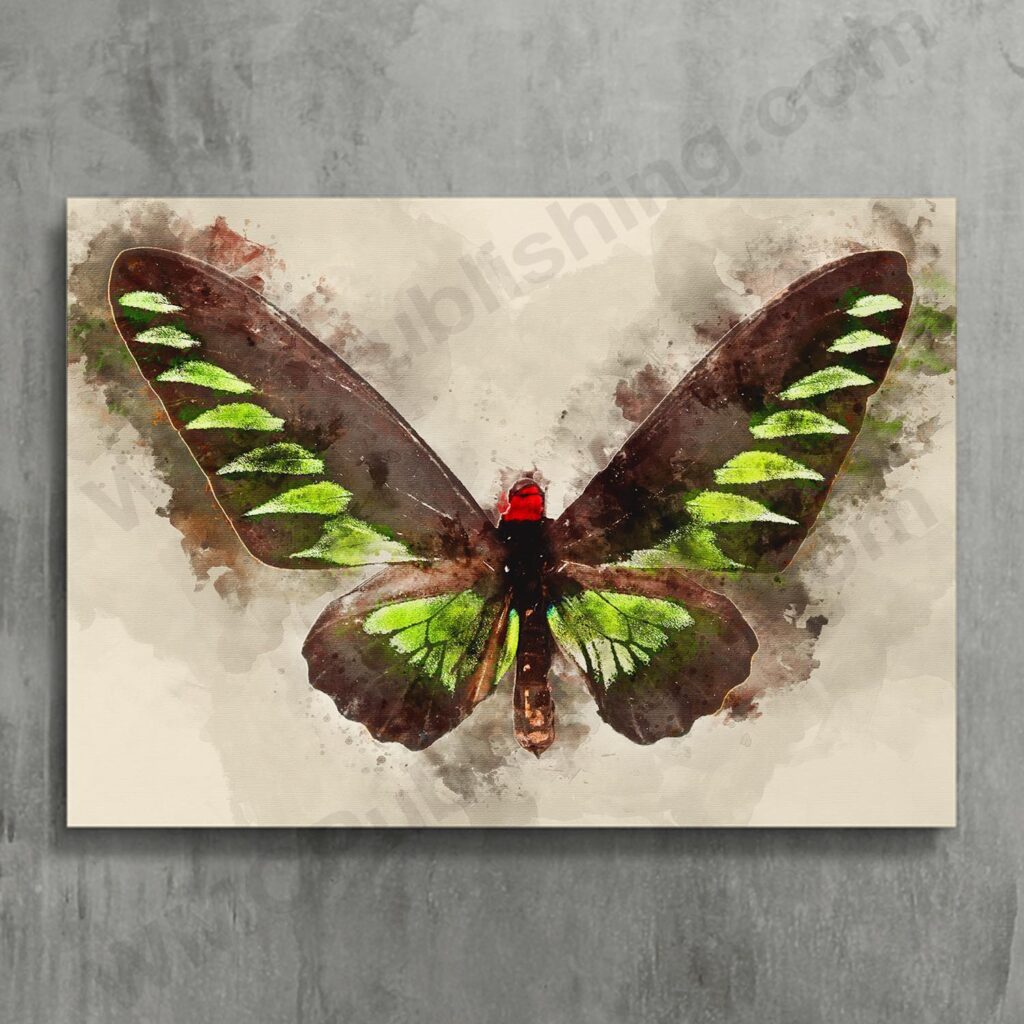 Raja Brook Butterfly Wall Art Print