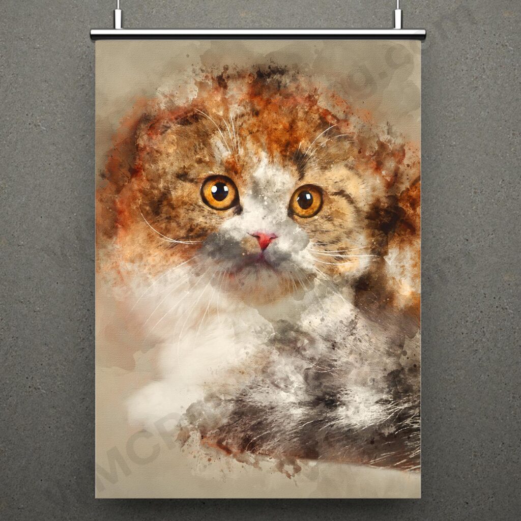 Scottish Fold Cat Wall Art Print