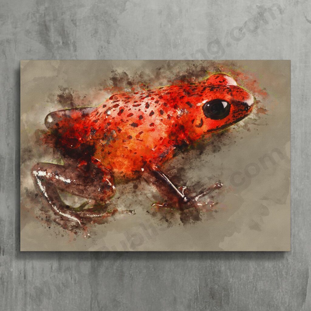 Strawberry Poison Dart Frog Wall Art Print