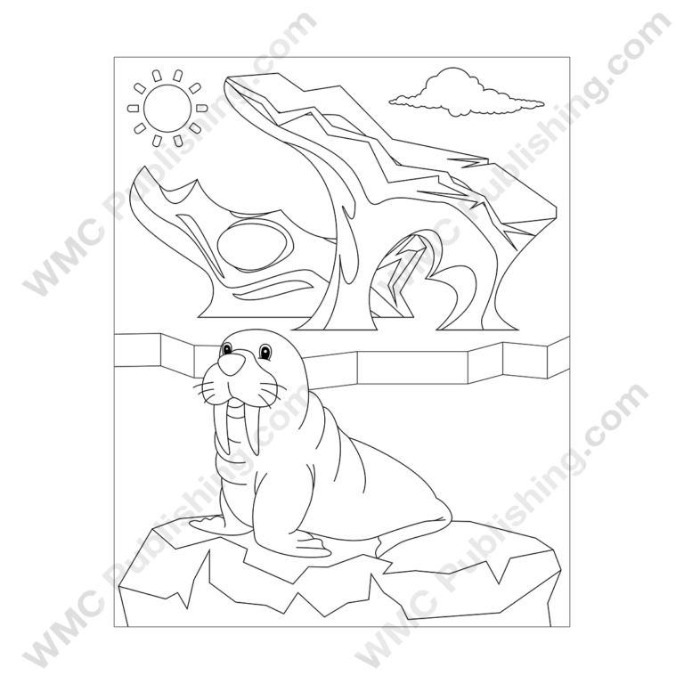 Walrus Coloring Pages