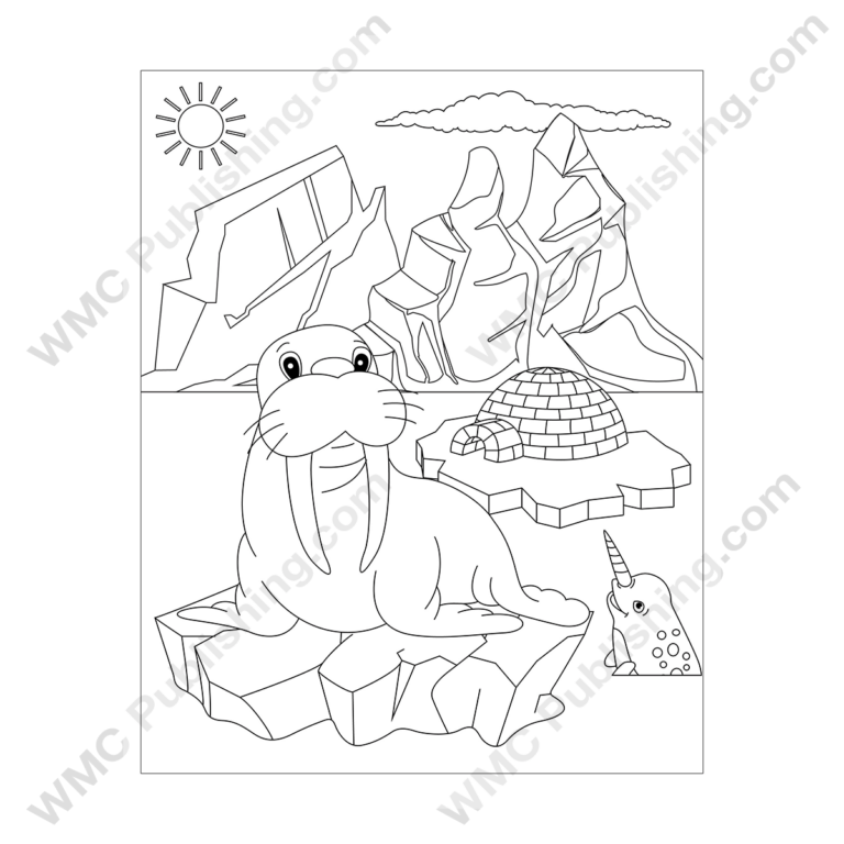 Walrus Coloring Pages