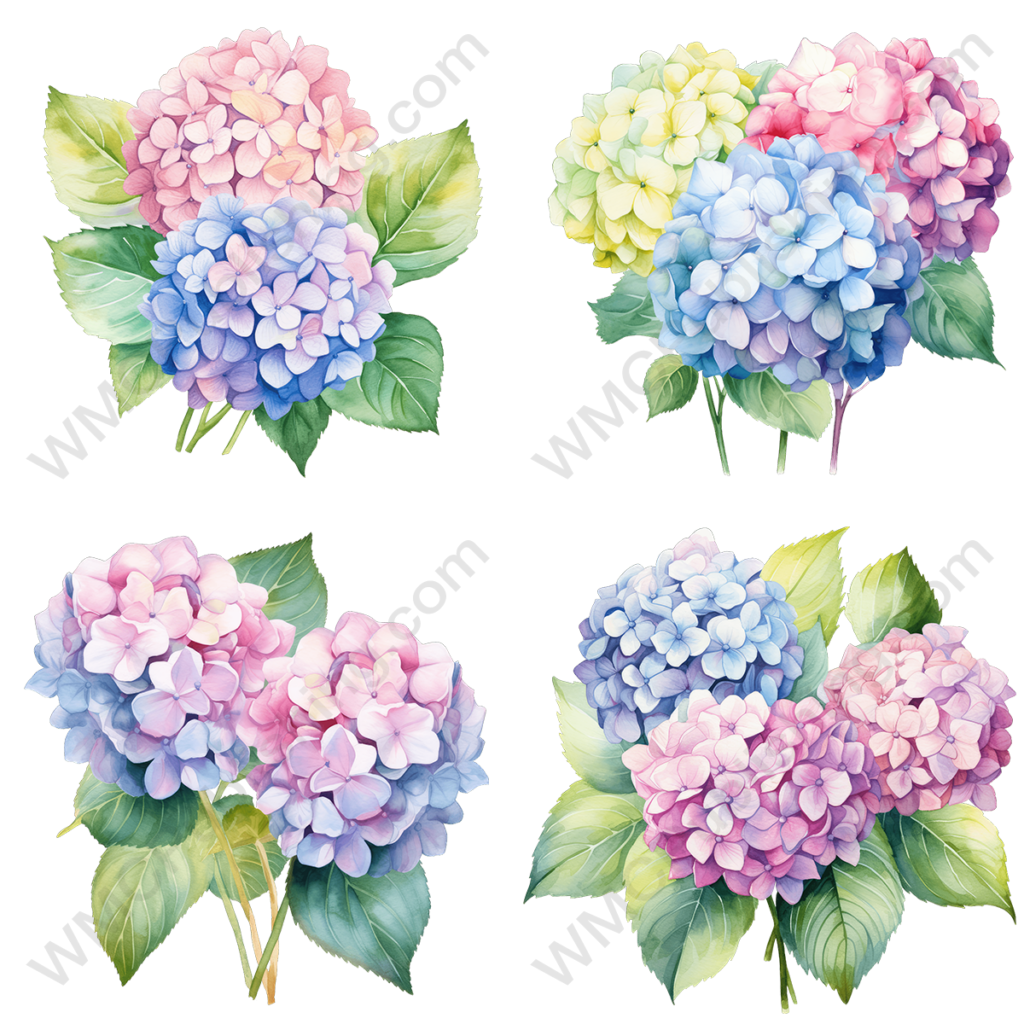 Pastel Watercolor Flowers Set 1