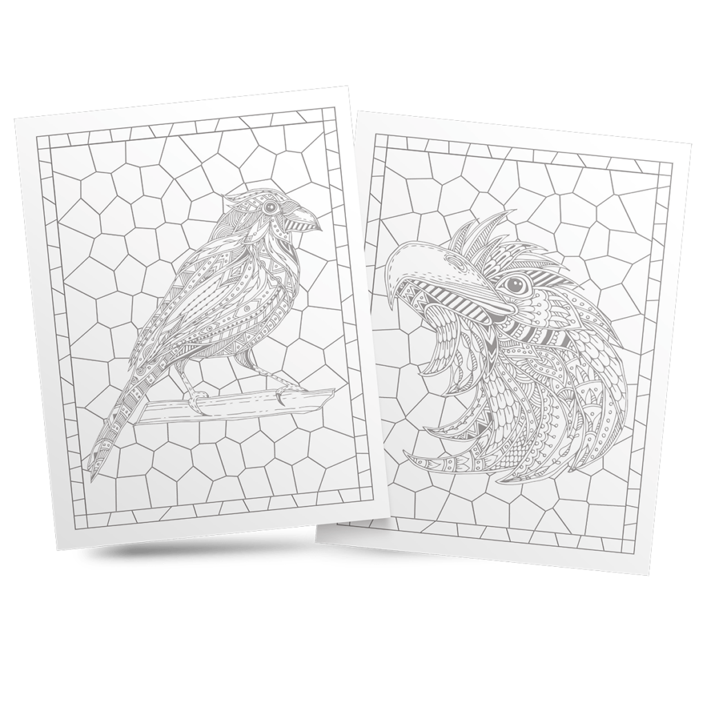Stained Glass Bird Coloring Book 3