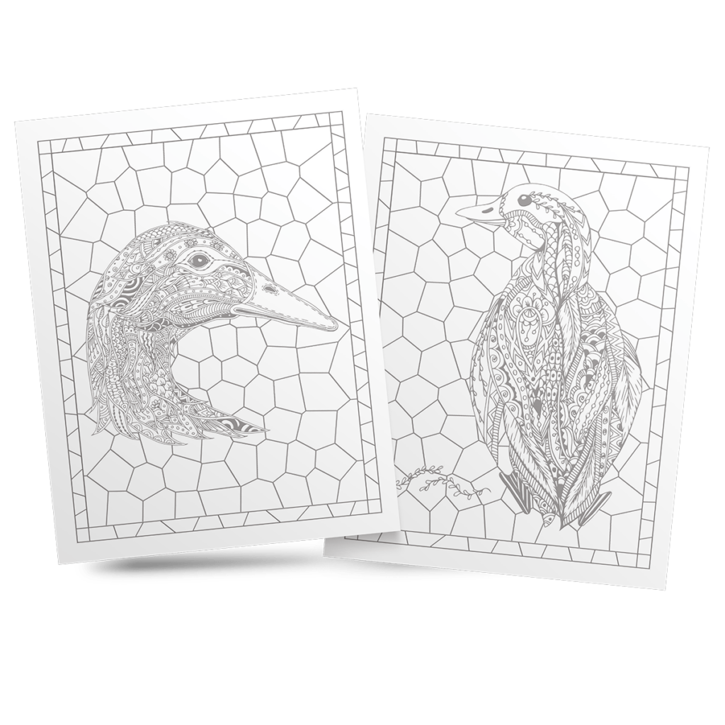 Stained Glass Bird Coloring Book 3