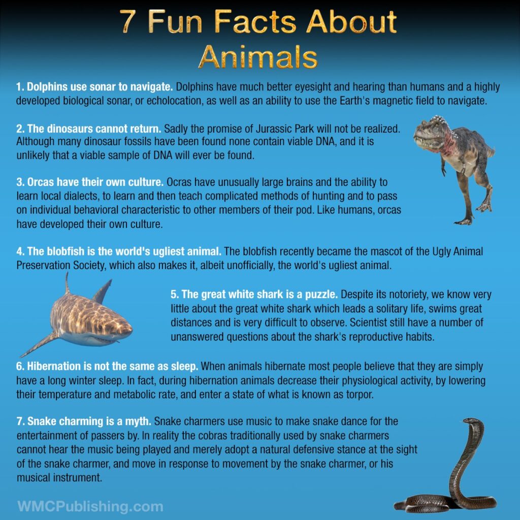 7 Fun Facts About Animals