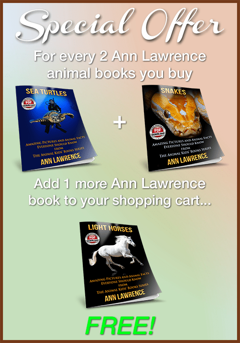 Ann Lawrence Animal Books Special Offer