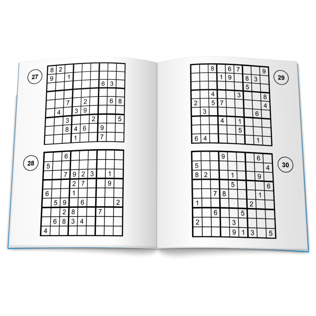 Large Print Sudoku Puzzles Book 1