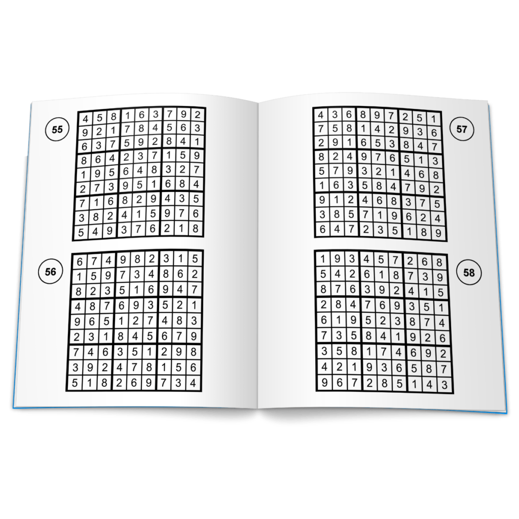 Large Print Sudoku Puzzles Book 1