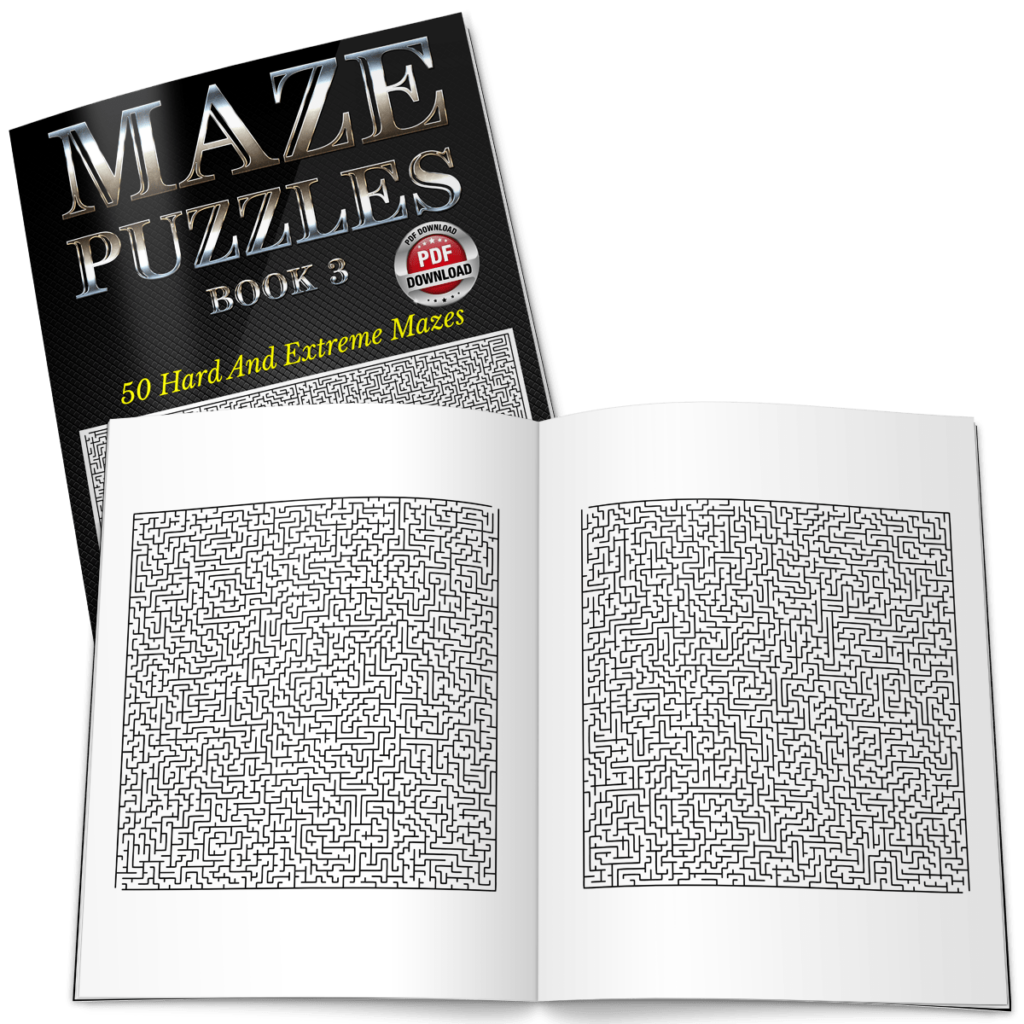 Maze Puzzles Book 3